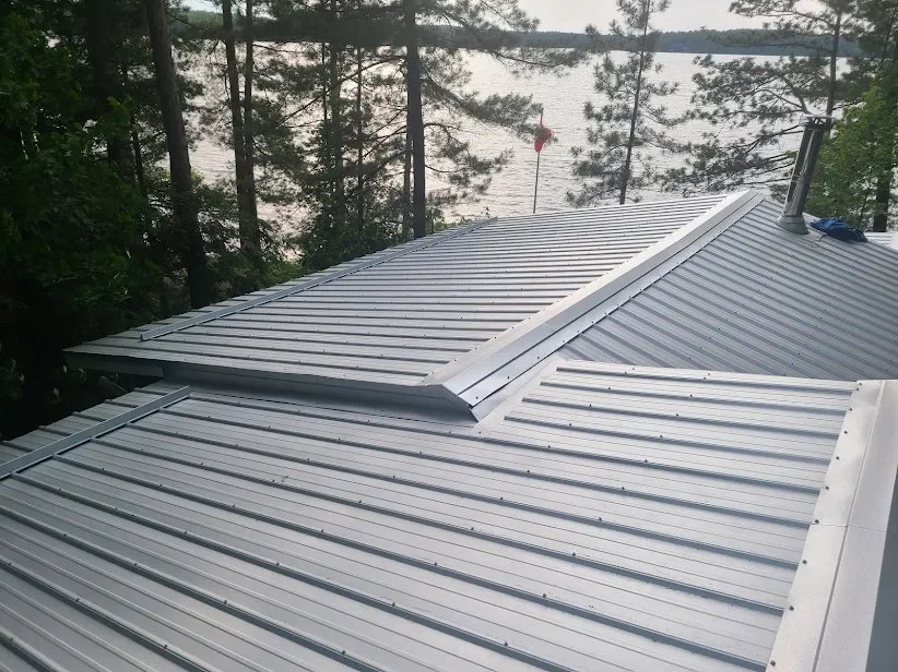 Lakefront view across a grey standing seam steel roof through trees.